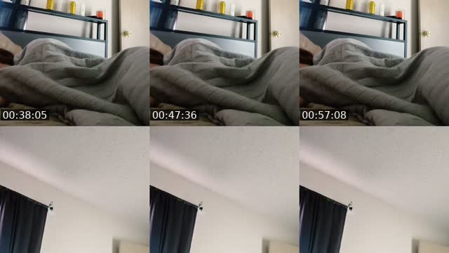 @fitflexjazz TikTok live from 2026-07-30