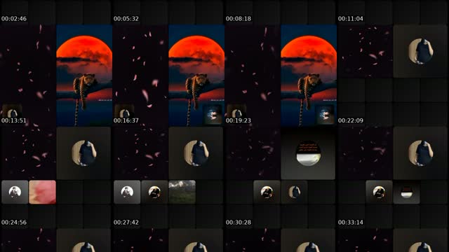 @user8355730761460 TikTok live