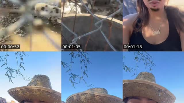 @laedlyn2 TikTok live