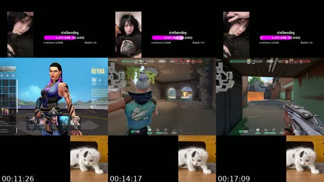 @ruchira678 TikTok live from 2026-07-31