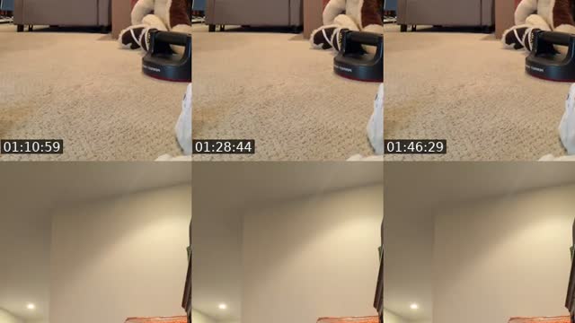 United States TikTok live: Send gifts by @dylancv835