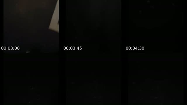 @ilan2627 TikTok live