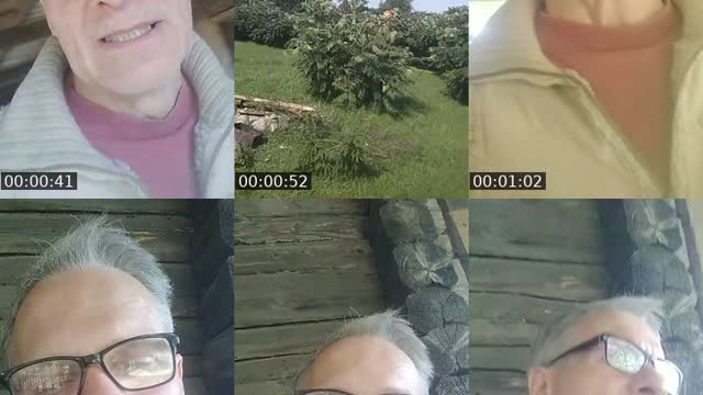 @shaman4prikol4 TikTok live from 2026-07-31