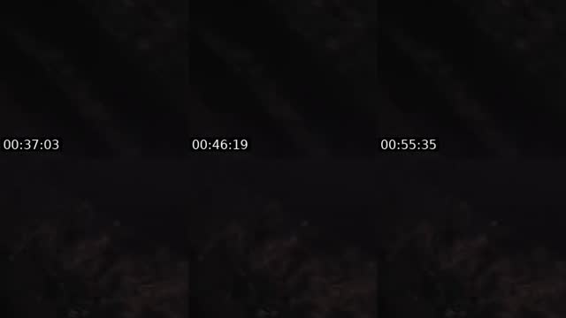 TikTok live: haunted by @authorkyleanthony