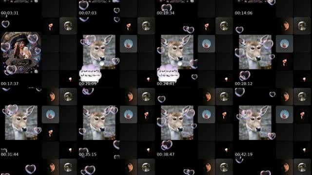 @ana_alamira TikTok live
