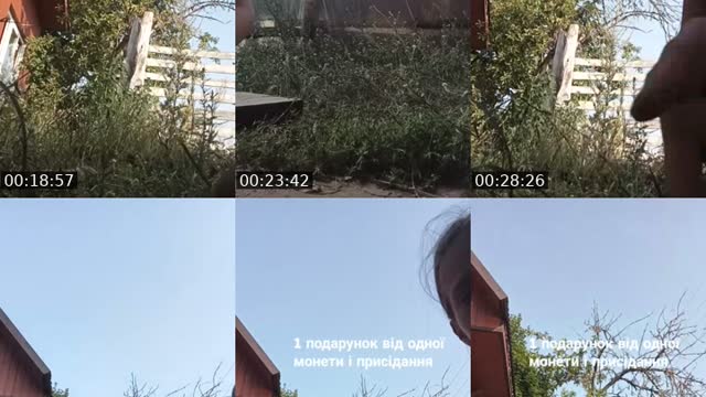 @zoriana136373 TikTok live from 2026-08-01