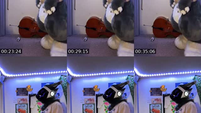 @heyomakomayo TikTok live from 2026-08-01