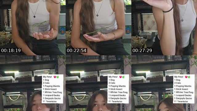 TikTok live: WARNING EXOTIC PETS-(I'm 19) by @skys.animal.zoo