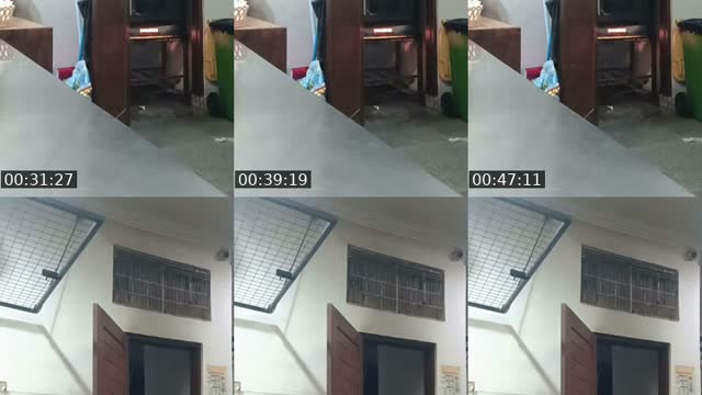 @kimchi_20086 TikTok live from 2026-07-31
