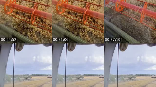 TikTok live: harvesting Oats by @farmerhedley