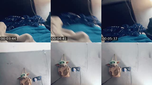@dash_dgraff TikTok live from 2026-07-31