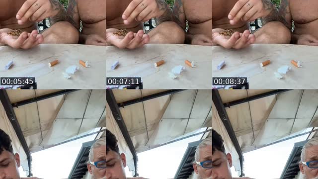 @aleninhoqg TikTok live