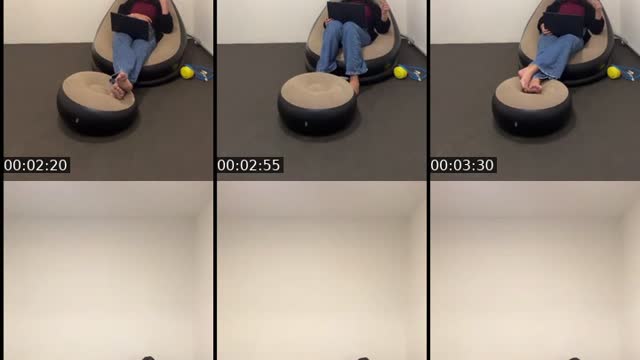 TikTok live: Lets Go LIVE! by @angelicarecomenda01