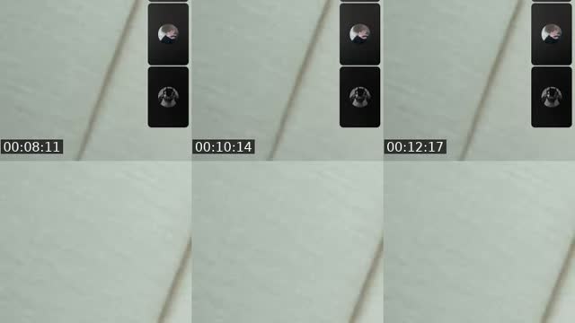 @s.nxrs TikTok live from 2026-07-31