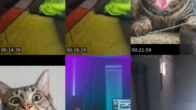 @yael_ch1 TikTok live
