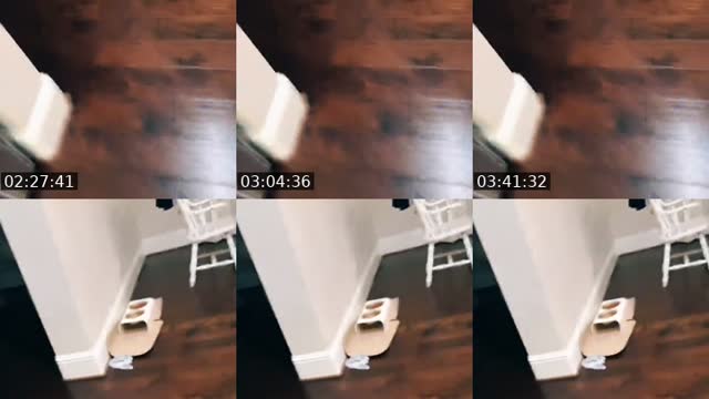 @keelynicoleeeee TikTok live from 2026-08-01