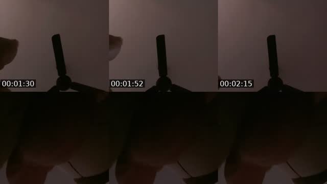 TikTok live: tengok luar kambing by @prettymellt69