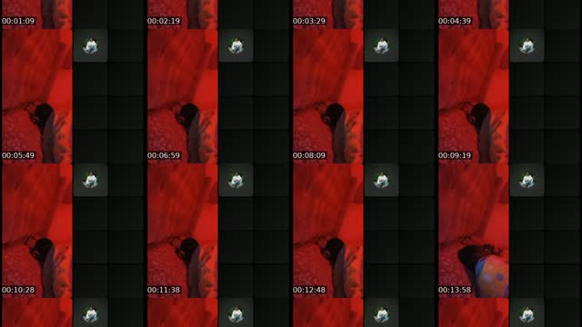 @mghettoghetto TikTok live from 2026-08-01