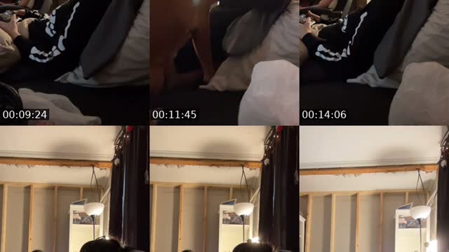 @g0re_r0se TikTok live from 2026-08-01