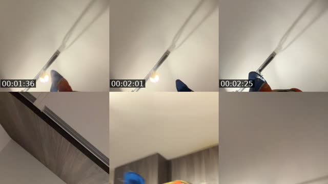 @big.mama.don TikTok live from 2026-08-01