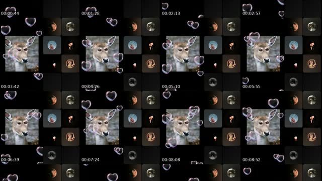 @ana_alamira TikTok live from 2026-08-01