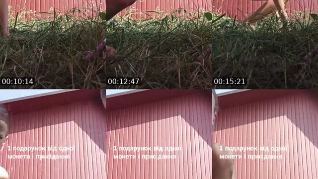 @zoriana136373 TikTok live from 2026-08-01
