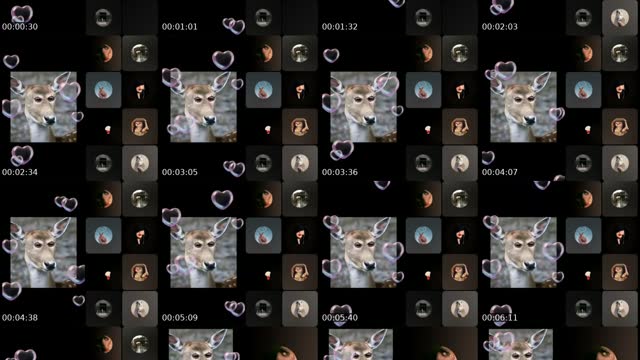 @ana_alamira TikTok live