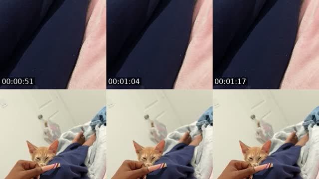 @babydaddy.k___ TikTok live