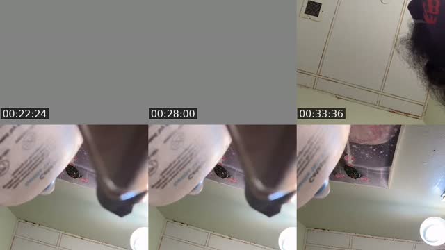 TikTok live: Flashing hurryyyyy by @dababylexi