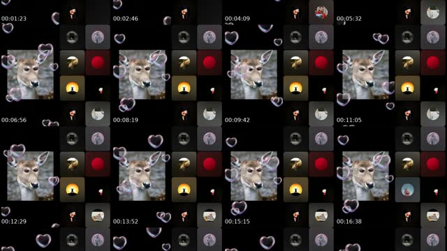 @ana_alamira TikTok live from 2026-08-01