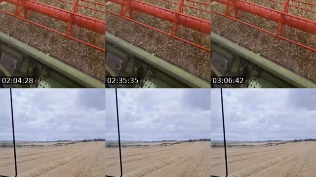 TikTok live: Harvesting wheat by @farmerhedley