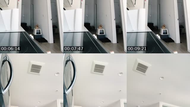 @abatista1q TikTok live from 2026-08-01