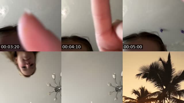 @z.zn24 TikTok live from 2026-08-01