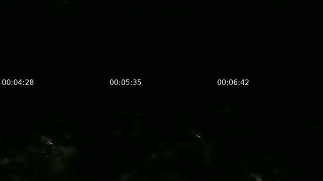 @sevgiarabeks TikTok live