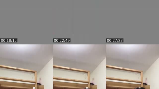 @stfuhny TikTok live from 2026-08-02