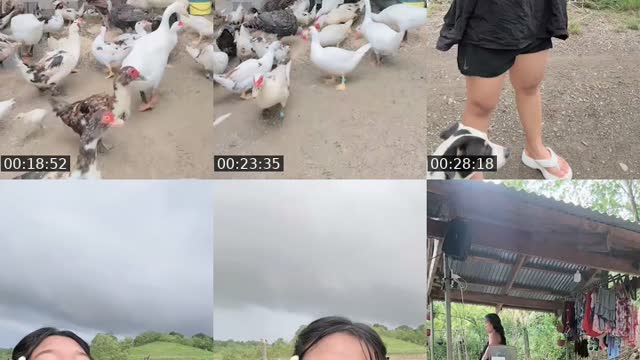 @jonnarosetaguiam TikTok live from 2026-08-02