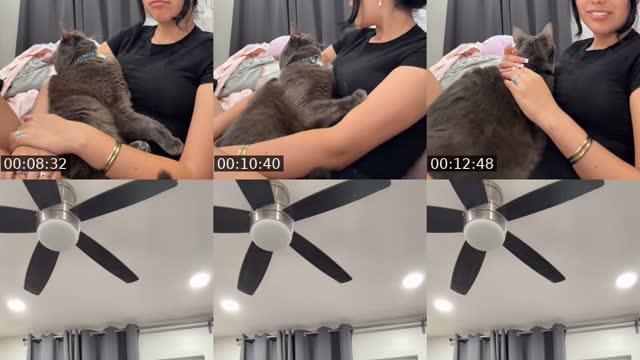 @mamiiiara TikTok live