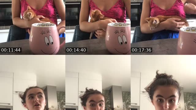 @jaimepashitler TikTok live from 2026-08-02