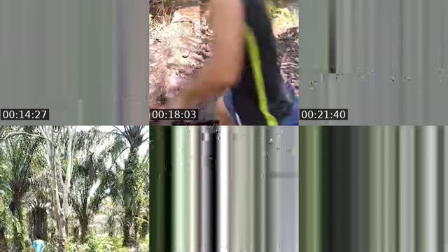 @masmahadi1 TikTok live