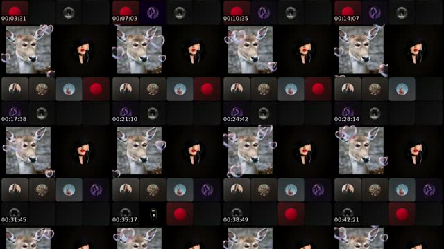 @ana_alamira TikTok live