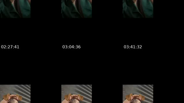@danibarra.rra TikTok live from 2026-08-03