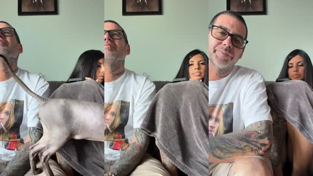 @thetoddtalk TikTok live
