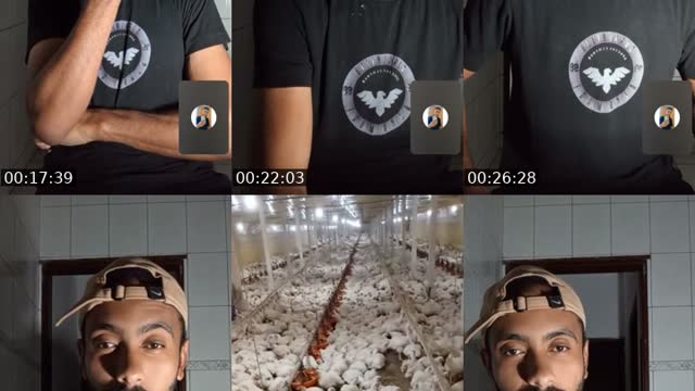 TikTok live: 2k by @carliinhos25