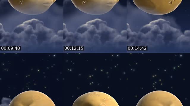 @bellacirena.com TikTok live from 2026-08-02