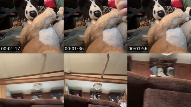 TikTok live: Let’s talk about things and essa by @essalove53