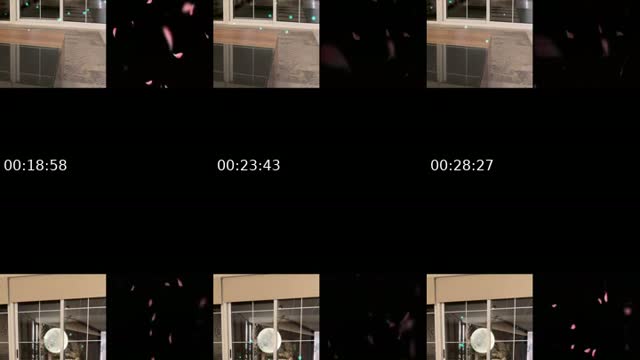 @wmaaitah4 TikTok live from 2026-08-02