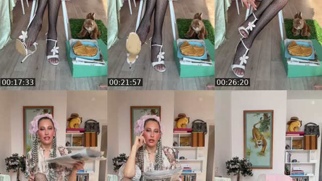 @dianaavgustastauer TikTok live from 2026-08-03