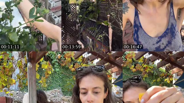 TikTok live: Love Club 💞 by @allieostudio
