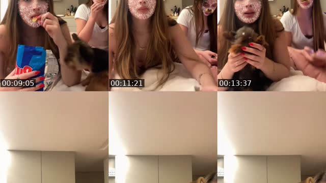 @dailydabernardii TikTok live