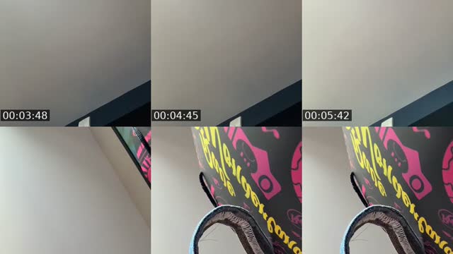 @bxbyyy.zky11 TikTok live from 2026-08-03
